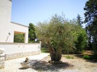 Villa Ramolina - Metaponto - B&B Metaponto