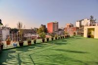 It's Always Sunny in this Roma Norte Apartment - B&B Città del Messico