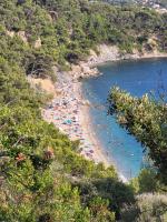 Studio vert à 400 m de la plage - B&B Le Pradet