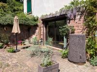 Eco-Gîte "La Chouette Verte" - B&B Wangenbourg