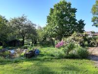 Ferienwohnung Waldrandlage zum Voithenberg - Chambres d'hôtes Furth im Wald