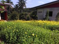 Ban Suan Sukjai Mae Sariang - B&B