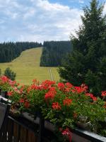 Ferienhaus mit 3 Apartments - Belle Apartment - Top-Lage, Sauna, HS-Card - Chambres d'hôtes Feldberg