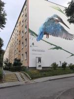 2 pokojowy apartament z kuchnią - Kraków Podgórze Kozłówek - Ferienwohnung Krakau
