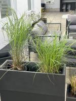 Wohnung mit Garten - B&B Sellin