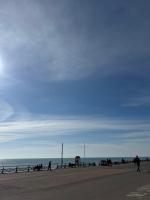 Lush Garden Flat 30 Secs to the Sea - Bed and Breakfast Brighton