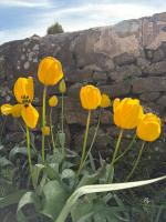 Rose Villa Cottage - Ferienwohnung Longridge