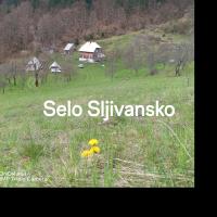 Selo Šljivansko - Bed and Breakfast Žabljak