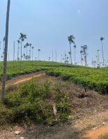 Grass root by shelters - B&B Vayittiri