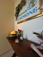Domus Anemone B&B - B&B Avellino