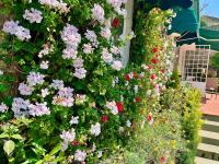 Bell Villa Luxury 3BHK Private Home Stay with Garden perfect for Families Couples Staycations - Chambres d'hôtes Kodaikānāl