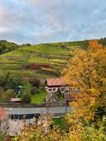 Ferienwohnung mit Weinbergblick - Ferienwohnung Dresden