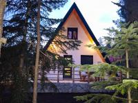 Pine Forest Chalet - Bed and Breakfast Žabljak