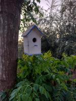 Quinta Pedro Sanabria - B&B Suipacha