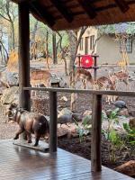 Kruger Private Lodge - B&B Marloth Park
