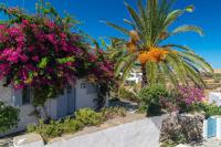 Niokratis - B&B Áno Petálion
