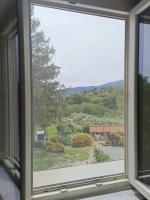 Domus Mazzoni - B&B Capannori