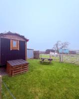 The Black Sheep Shepherd's Hut - B&B Prestrie
