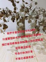 崗崗好 Gangan House - Bed and Breakfast Sanfenzi