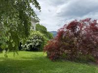 Ferienwohnung Biendi - Ferienwohnung Trimmis