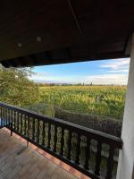 Panorama des Vignes -Alsace Expérience - B&B Barr