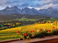 Ferienwohnung Imlauer - B&B Maria Alm am Steinernen Meer