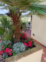 Villa Sandra - B&B Porto Azzurro