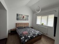 Casa Tiana 2 - B&B Vaslui