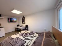 Emun Central Park Studio - Ferienwohnung Klausenburg