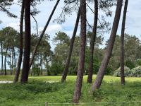 Maison avec vue Golf 8 pers avec Piscine - Chambres d'hôtes Gujan-Mestras