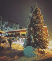 Haus Waldesruh - Bed and Breakfast Neustift im Stubaital
