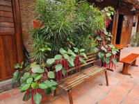 Homestay Nhà Dừa CocoHome Vĩnh Long - B&B Ấp Long Phụng