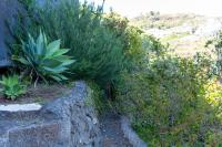 Desertas Vista Casa by LovelyStay - B&B Gaula