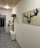 Fewo Kaiserin - B&B Willingen