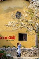 Mộc Thảo Homestay Lô Lô Chải - Chambres d'hôtes Lũng Cú