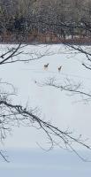Lakeview Property on Indian Lake NB Canada - B&B Sheffield