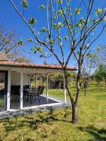 OliveGrove - B&B Olympiáda