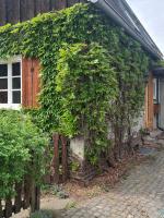 Ferienhaus Witta - Bed and Breakfast Radebeul