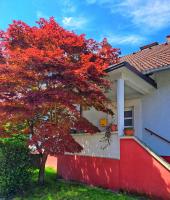 Family Apartment near Terme Čatež - 4C - B&B Brezice