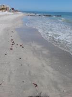 Madeira Bay 2 - B&B St. Pete Beach