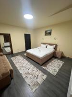 Apartamentele Liliacul - Chambres d'hôtes Sighetu Marmaţiei