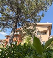 Firmamento Royal House - B&B Rocca Priora