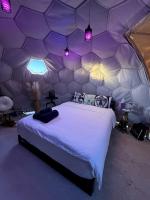 Fantastic Secluded Dome with Great Desert Views in Terlingua, Texas - B&B Terlingua