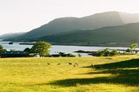 Kathleen's Croft, charming detached croft house - Bed and Breakfast Torridon