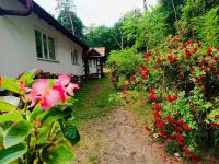 Apartament willa Radosna - B&B Garbatka-Letnisko