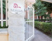 Hibiscus - B&B