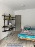 Studio nr 1 confort entry direct from parking - Chambres d'hôtes Suceava
