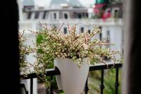 Ath Homestay Vinhomes Dragon Bay - Ferienwohnung Hạ Long