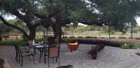 Zebra game farm - Bed and Breakfast Brits