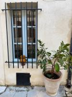 Maison de charme centre historique - B&B Arles